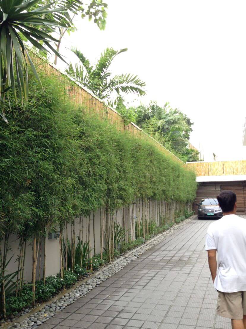 Young House, Forbes Park 9